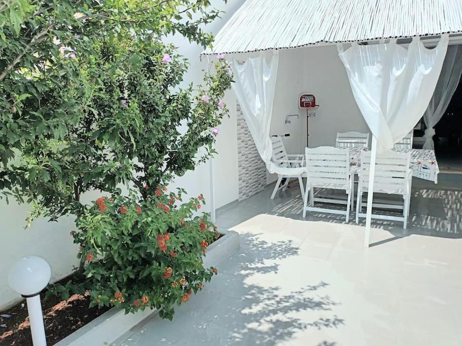 Appartement 50M Dal Mare Caraibico à Lido Marini Extérieur photo